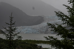 ALAS-Juneau-tour-glacier13-2000