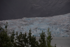 ALAS-Juneau-tour-glacier7-2000