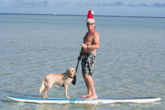 ANIM-sandbar31-2000