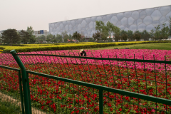 BJ-beijing-olympic5-2000
