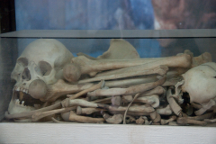 Yangtzee-skulls-2000