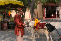 Kaifeng41-2000