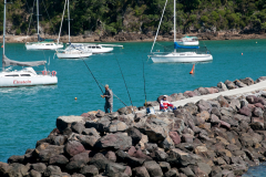 NZ-waiheke-island-ferry4-2000