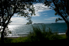 NZ-waiheke-island-views15-2000